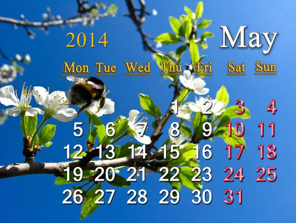 2014 年 5 月的日历 — 图库照片
