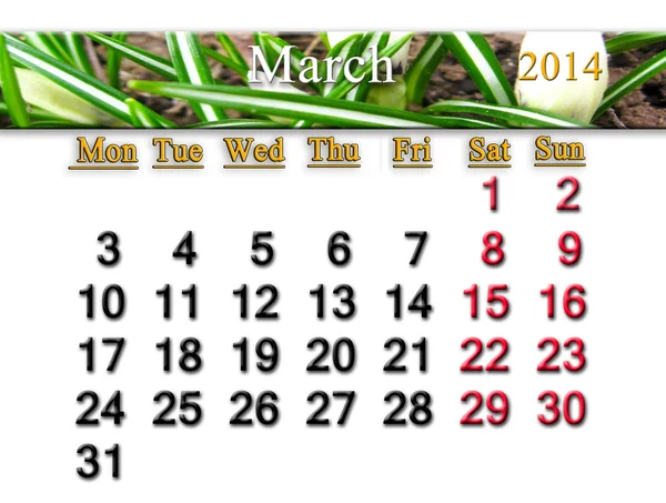Calendario per l'anno marzo 2014 — Foto Stock