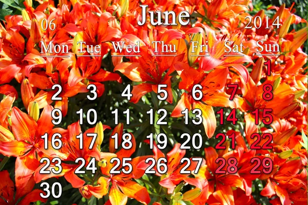 Calendar for June of 2014 on the background of lilies — Stock Photo, Image