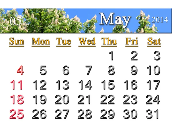 Calendar for May of 2014 with crowns of chestnut — Stock Photo, Image