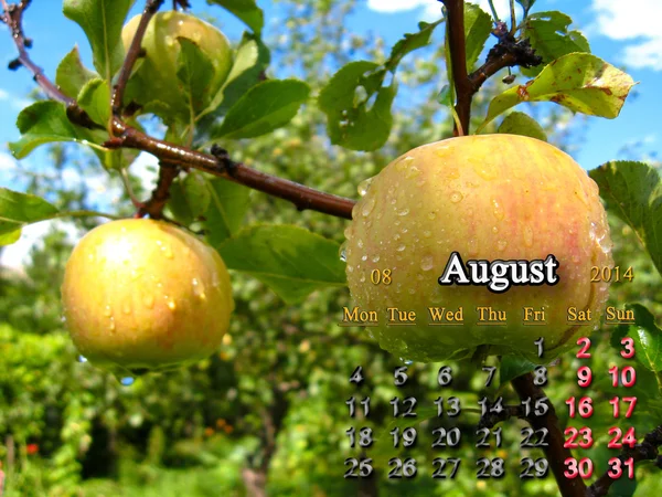 Kalender för augusti 2014 års med äpplen — Stockfoto