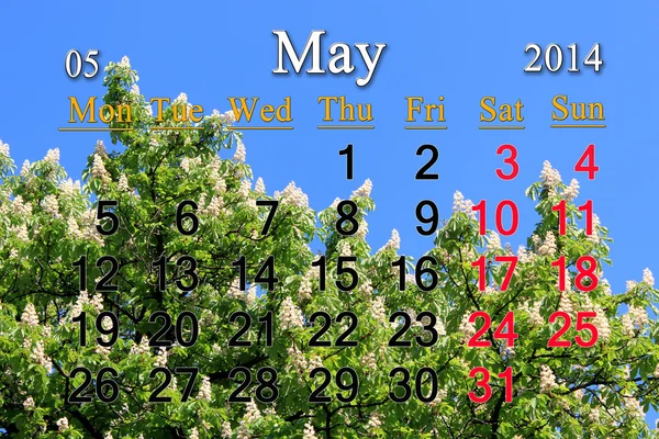 Calendar for May of 2014 with crowns of chestnut — Stock Photo, Image