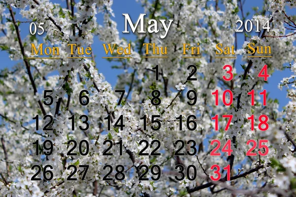 Календарь на май 2014 года с ветвью цветущей вишни — стоковое фото