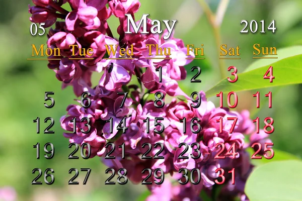 ライラックと 2014 年の 5 月のカレンダー — ストック写真