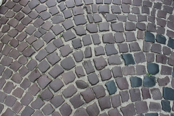 Покриття дороги з кам'яних блоків — стокове фото