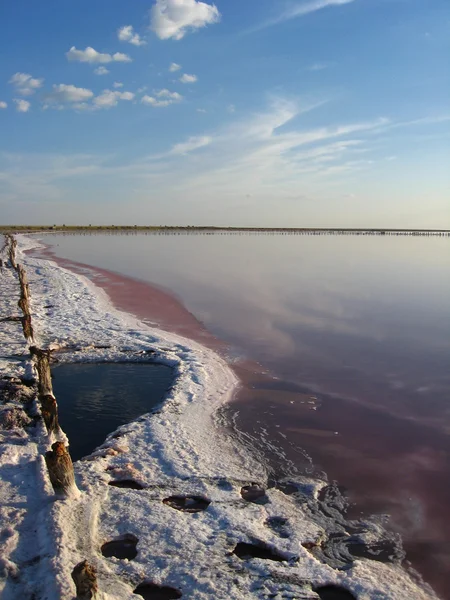 Landscape of extraction of salt on the salty sea Stock Image