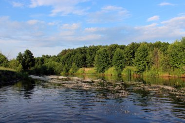 landschap met rivier en mooie bos