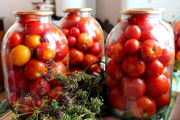 Rajčata v nádobách připravených ke konzervaci — Stock fotografie