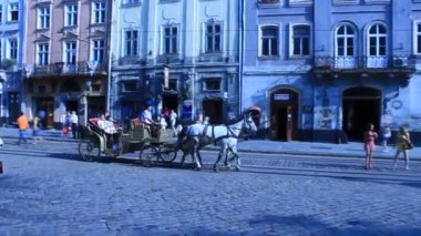 lvov iki harnessed atları ile Koç