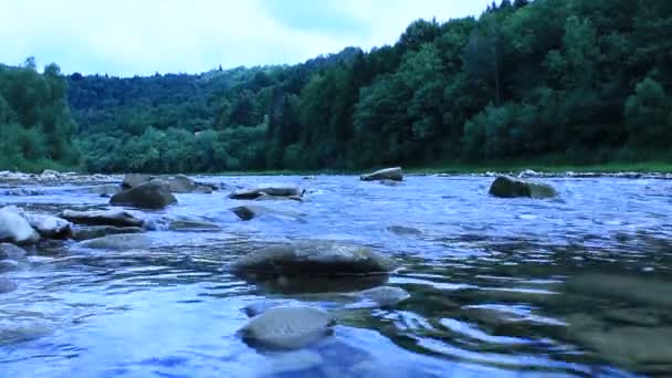 Schöne Geschwindigkeit bergiger Fluss — Stockvideo