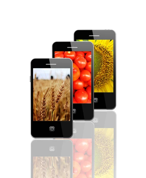 Moderní mobilní telefony s různými rostlinami — Stock fotografie