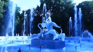 Çeşme ile güzel kuğu lvov Parkı içinde