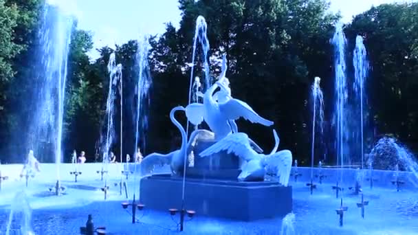 Springbrunnen mit schönen Schwänen im Park von lvov