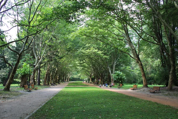 As pessoas têm um resto no parque com árvores maiores — Fotografia de Stock