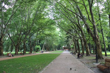 insanlar büyük ağaçları ile parkta dinlen