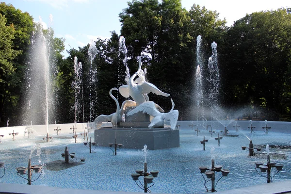 Fountains with beautiful swans in the park of Lvov — Stock Photo, Image