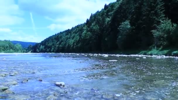 Schöne Geschwindigkeit bergiger Fluss — Stockvideo