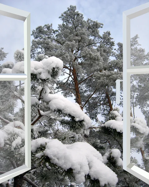 Ανοίξτε το παράθυρο χειμώνα χιονισμένο δάσος — Φωτογραφία Αρχείου
