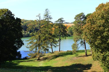 Sonbahar manzarası. Sonbaharda su manzarası. Göl kenarındaki sonbahar parkı. Çam ormanında zümrüt suyu olan güzel bir orman gölü. Harika doğal manzara. Su panoraması. Vahşi doğa.