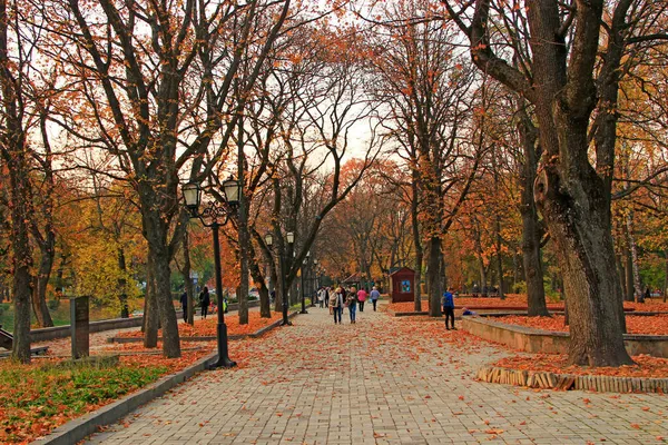 秋にはベンチがある通りの路地を歩く人々とセントラルシティパーク 木々の上に黄色の葉で秋の季節 人々は秋の都市公園を歩く 公園に人がいます — ストック写真
