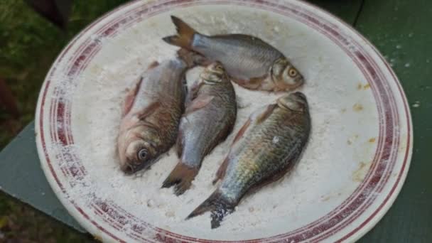 Tre Crogioli Fritti Padella Cucinare Pesce Fritto Pesce Fiume Che — Video Stock