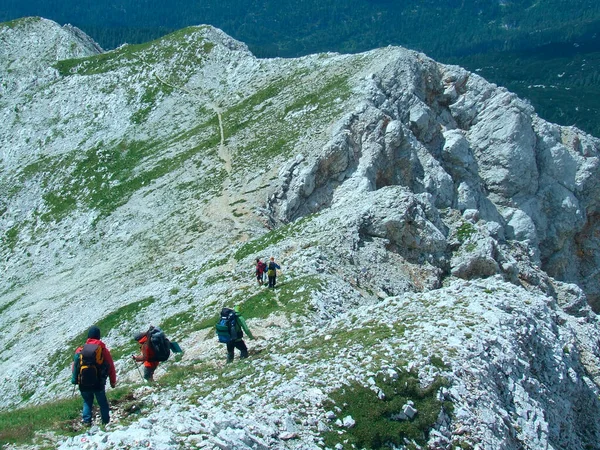 Group Tourists Climbing Mountain Overlooking Clouds Tourists Rise Quarantine People — Stock Photo, Image