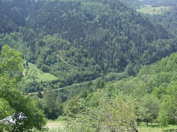 山の中で旅客列車に乗る 山の風景 山の中で鉄道輸送 緑の森に覆われた山々と風景 山の間の谷 山のパノラマ — ストック写真