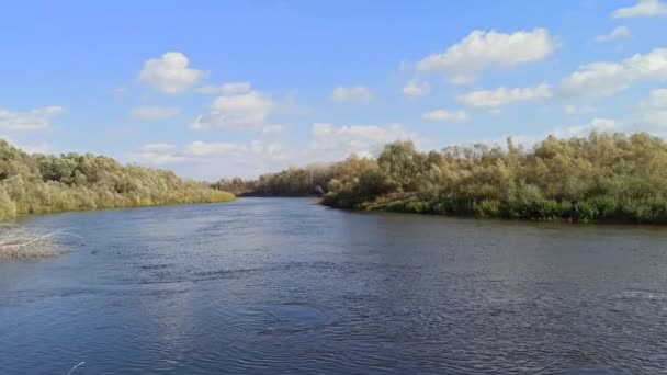 Jesienny Krajobraz Suche Liście Opadają Powierzchni Wody Rzeki Żółte Liście — Wideo stockowe