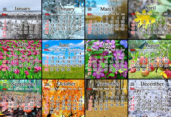 Calendário Para 2022 Inglês Com Foto Natureza Para Cada Mês — Fotografia de Stock