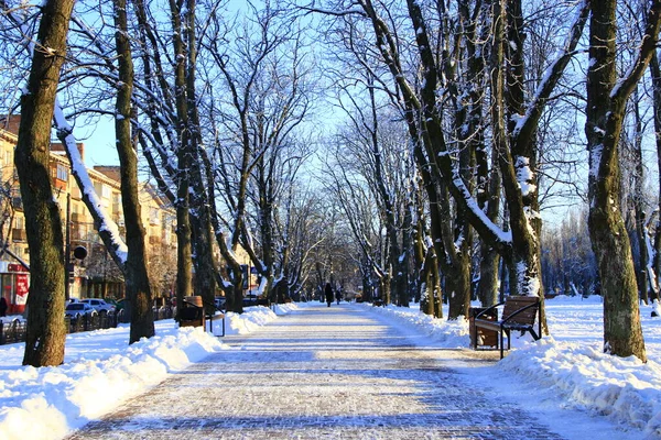 Bonito Beco Parque Com Banco Árvores Dia Ensolarado Inverno Belo — Fotografia de Stock