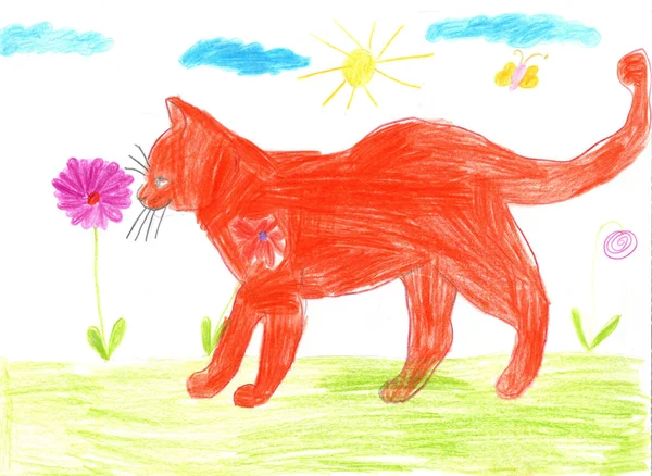 孩子们在画猫孩子们用红猫画的画 夏天花园里有漂亮的红猫的孩子们的画 在野花间宠物狗 幼稚的艺术 — 图库照片