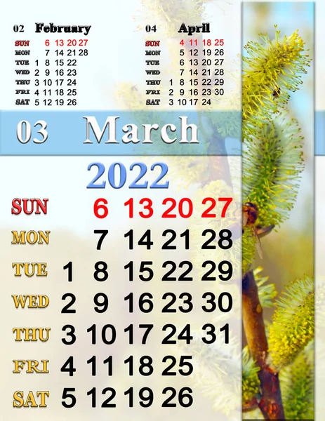 2022年3月のカレンダー柳の花の松の枝 2022年の写真カレンダー 簡単なカレンダー 印刷可能 手紙のサイズ オフィスプランナー 日曜日スタート — ストック写真