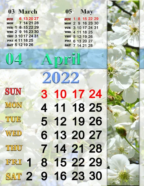 Calendar April 2022 Blossoming Cherry Tree Flowers Branch Blooming Spring — Stock Photo, Image