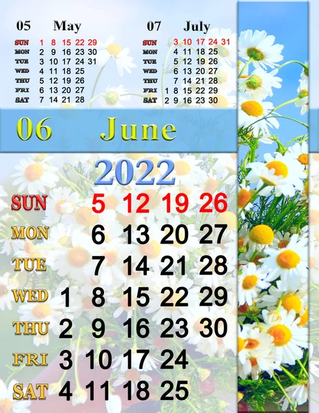 2022年6月のカレンダーフィールド上の開花カモミールと 春に咲く花 2022年5月の夏季カレンダー シンプルなカレンダー印刷可能 季節の自然写真と2022年の壁カレンダー — ストック写真
