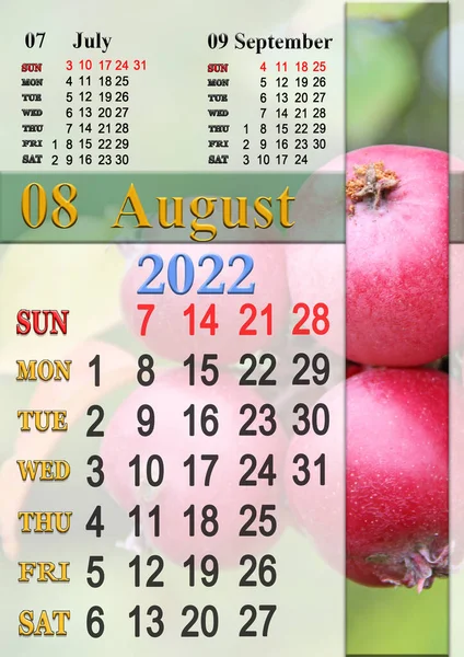 カレンダー2022年8月赤熟れりんご 庭の枝にぶら下がっているりんごを熟す 2022年8月の夏季カレンダー シンプルなカレンダー印刷可能 季節の自然写真と2022年の壁のカレンダー — ストック写真