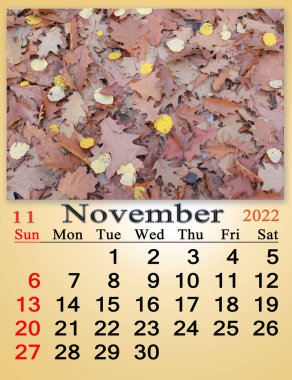 october 2022 calendar for organizer to plan and reminder on nature background. calendar for october 2022 with image of yellow and red leaves on the ground in forest. calendar. Home planner