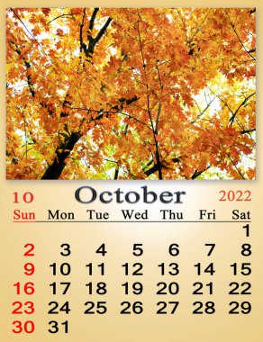 october 2022 calendar for organizer to plan and reminder on nature background. calendar for october 2022 with image of yellow leaves on maple tree in forest. calendar. Home planner