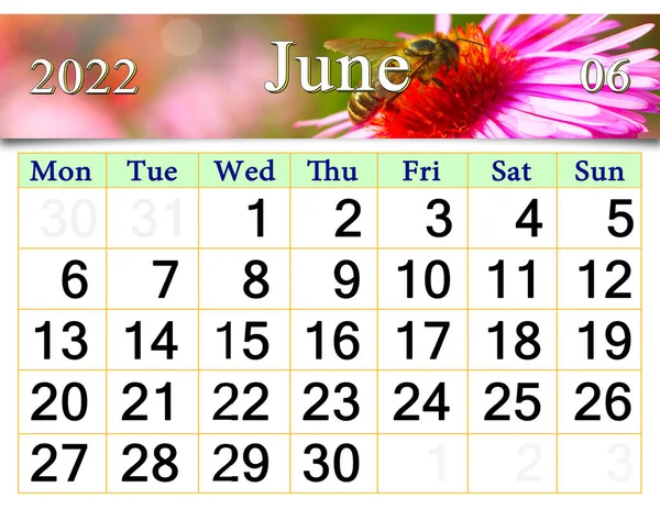 June 2022 Calendar Organizer Plan Reminder Nature Background Calendar June — Zdjęcie stockowe