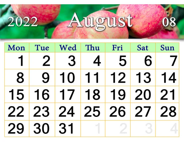 August 2022 Calendar Organizer Plan Reminder Nature Background Calendar August — Fotografia de Stock