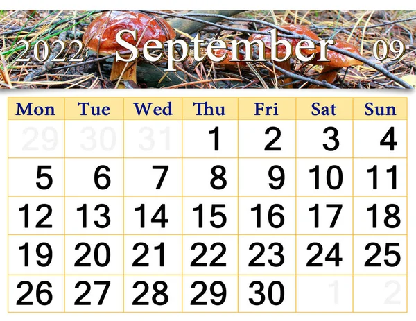 September 2022 Calendar Organizer Plan Reminder Nature Background Calendar September — Stock fotografie