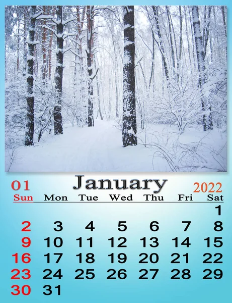 January 2022 Calendar Organizer Plan Reminder Nature Background Calendar January — ストック写真