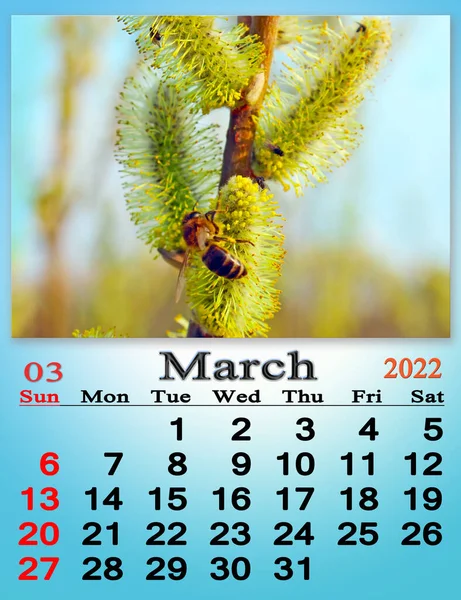 March 2022 Calendar Organizer Plan Reminder Nature Background Calendar March — ストック写真