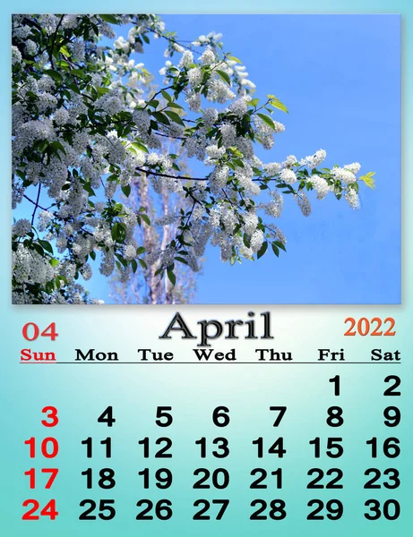 April 2022 Calendar Organizer Plan Reminder Nature Background Calendar April — Foto Stock