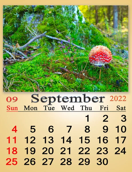 Calendar October 2022 Image Ripe Red Apples Branch Tree Monthly — Foto Stock