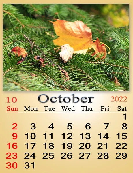 Жовтень 2022 Календар Організатора Планування Нагадування Про Природу Календар Жовтень — стокове фото
