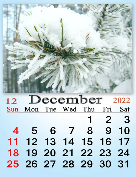 雪に覆われた松の枝の写真と2022年12月の美しいカレンダー 霜やカレンダーで覆われた木の枝で新年 ホームプランナー 天気カレンダー — ストック写真