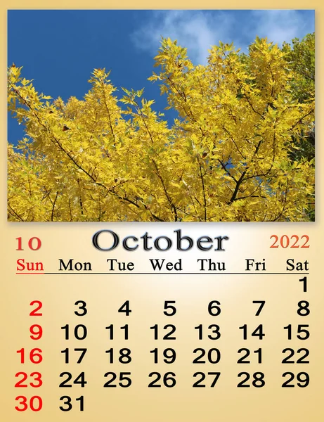 October 2022 Calendar Organizer Plan Reminder Nature Background Calendar October — Stockfoto