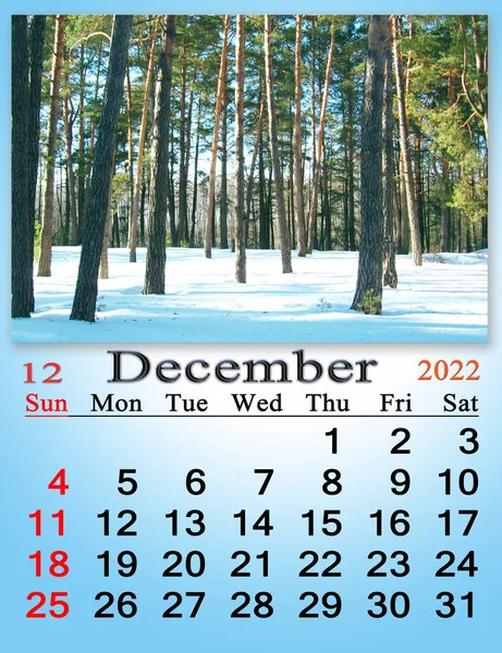 Beautiful Calendar December 2022 Image Wintter Pine Forest Covered Snow — Zdjęcie stockowe