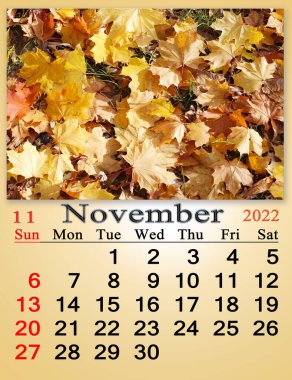 calendar for November 2022 with autumn park with fallen leaves in autumn park. autumn calendar November 2022. Calendar Printable. wall calendar with seasonal natural photo. Autumnal park with yellow leaves