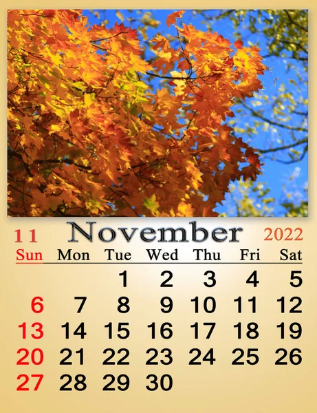 Calendar November 2022 Autumn Park Trees Yellow Color Autumn Calendar — Stock Photo, Image